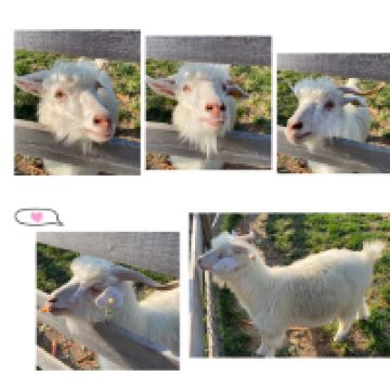 評論圖片 3