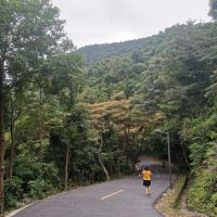 評論圖片 9