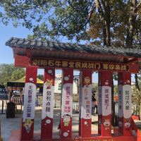 評論圖片 8