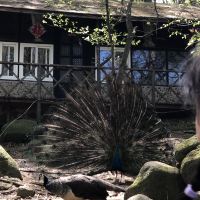 評論圖片 4