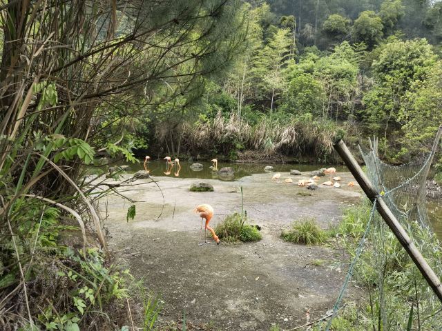 황산첨