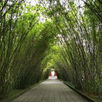 評論圖片 4