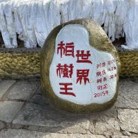 評論圖片 2