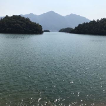 評論圖片 2