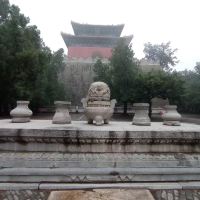 評論圖片 8