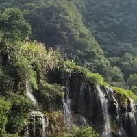 評論圖片 6