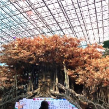評論圖片 8