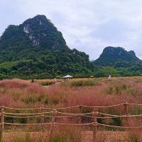 評論圖片 4