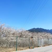 評論圖片 9