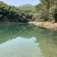 評論圖片 4