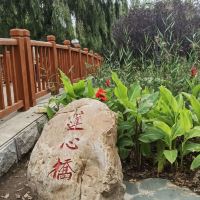 評論圖片 1