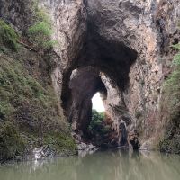 評論圖片 6