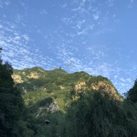 評論圖片 2