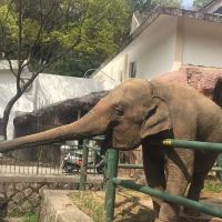 評論圖片 1