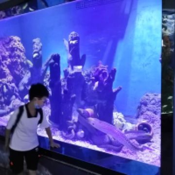 評論圖片 2