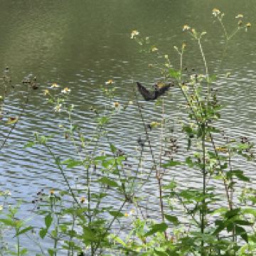 評論圖片 2