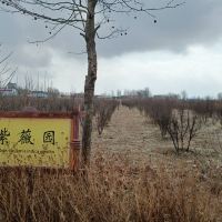 評論圖片 8