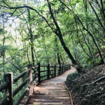 評論圖片 9