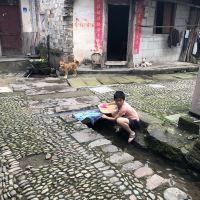 評論圖片 2