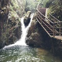 評論圖片 4