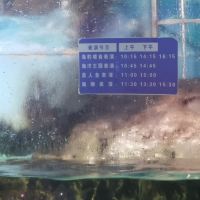 評論圖片 4