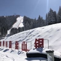 評論圖片 5