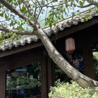 評論圖片 8