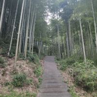 評論圖片 4