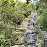 評論圖片 4