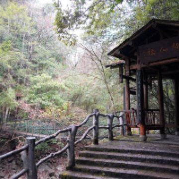 評論圖片 9