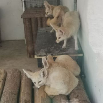 評論圖片 1