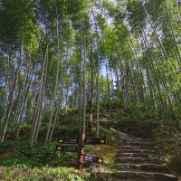 評論圖片 4
