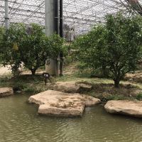 評論圖片 4