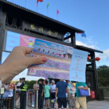 評論圖片 3