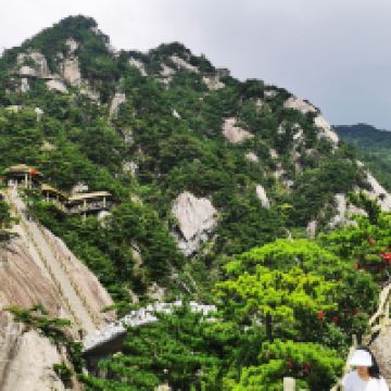 評論圖片 8