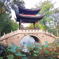 評論圖片 6