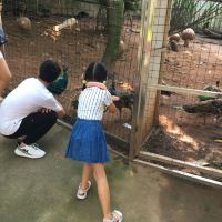 評論圖片 3