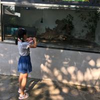 評論圖片 4