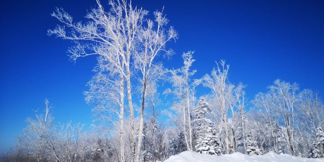 Xuexiang National Forest Park