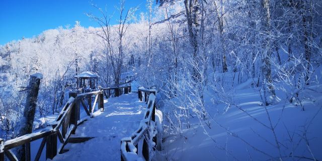 Xuexiang National Forest Park