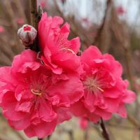 評論圖片 9