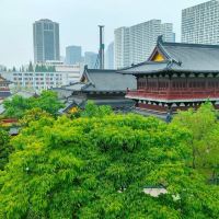 評論圖片 2