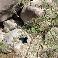 評論圖片 4
