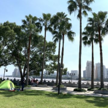 評論圖片 4