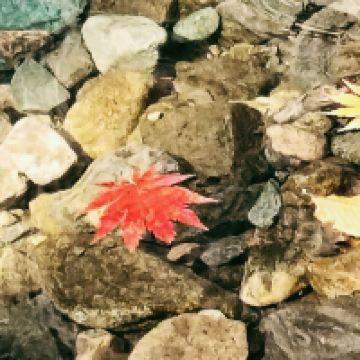 評論圖片 6