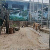 評論圖片 7