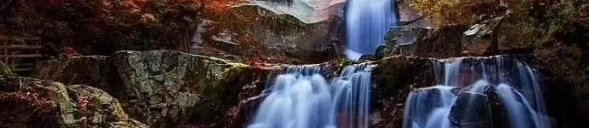 Fall Viewing Attractions