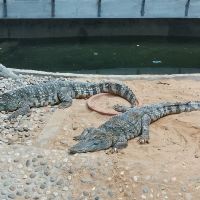 評論圖片 5