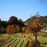 評論圖片 8