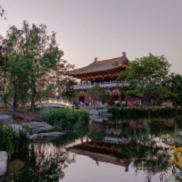 評論圖片 8